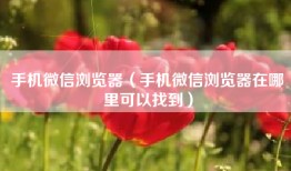 手机微信浏览器（手机微信浏览器在哪里可以找到）