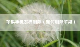 苹果手机怎样删除（如何删除苹果）