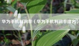 华为手机利润率（华为手机利润率排名）