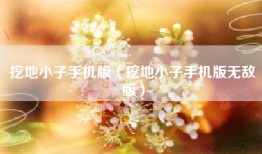 挖地小子手机版（挖地小子手机版无敌版）