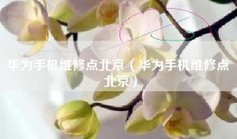 华为手机维修点北京（华为手机维修点 北京）