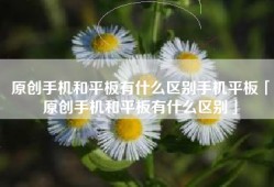 原创手机和平板有什么区别手机平板「原创手机和平板有什么区别」