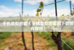 手机类似迅雷（手机类似迅雷的下载器有哪些）