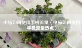电脑如何使用手机流量（电脑如何使用手机流量热点）