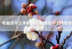 电脑连不上手机wifi（电脑连不上网络但是wifi正常）