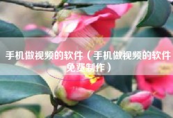 手机做视频的软件（手机做视频的软件免费制作）