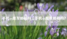 手机qq能发邮箱吗（手机qq能发邮箱吗？）