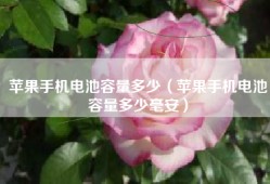 苹果手机电池容量多少（苹果手机电池容量多少毫安）