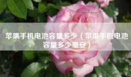 苹果手机电池容量多少（苹果手机电池容量多少毫安）