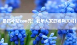 最高补贴15000元！老年人家庭福利来啦！