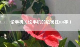 论手机（论手机的危害性800字）