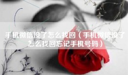 手机微信没了怎么找回（手机微信没了怎么找回忘记手机号码）