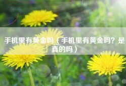 手机里有黄金吗（手机里有黄金吗？是真的吗）