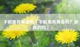 手机里有黄金吗（手机里有黄金吗？是真的吗）