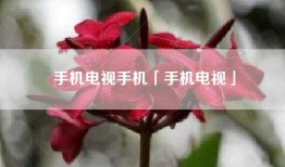 手机电视手机「手机电视」
