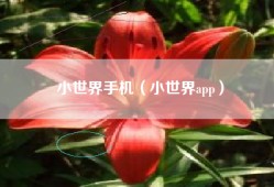 小世界手机（小世界app）