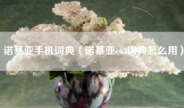 诺基亚手机词典（诺基亚e63词典怎么用）