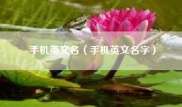 手机英文名（手机英文名字）
