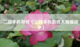 二战手机游戏（二战手机游戏大规模战争）