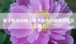 查手机号价格（查手机号码值多少钱怎么查）