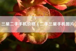 三星二手手机价格（二手三星手机图片）