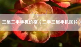 三星二手手机价格（二手三星手机图片）