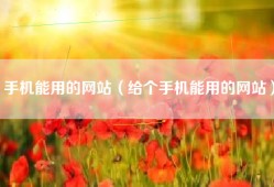 手机能用的网站（给个手机能用的网站）