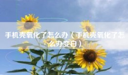 手机壳氧化了怎么办（手机壳氧化了怎么办变白）