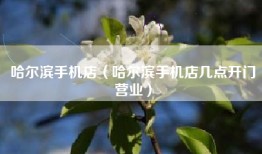 哈尔滨手机店（哈尔滨手机店几点开门营业）