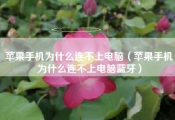 苹果手机为什么连不上电脑（苹果手机为什么连不上电脑蓝牙）