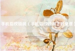 手机指纹锁屏（手机指纹锁屏下载免费）