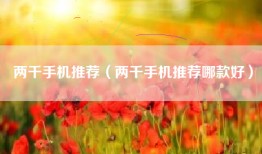 两千手机推荐（两千手机推荐哪款好）