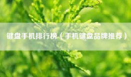 键盘手机排行榜（手机键盘品牌推荐）