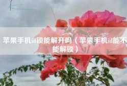 苹果手机id锁能解开吗（苹果手机id能不能解锁）