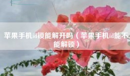 苹果手机id锁能解开吗（苹果手机id能不能解锁）