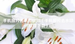手机图片去水印软件（手机图片去水印软件下载）