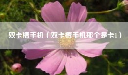 双卡槽手机（双卡槽手机那个是卡1）