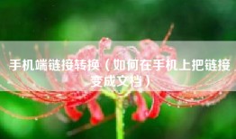 手机端链接转换（如何在手机上把链接变成文档）