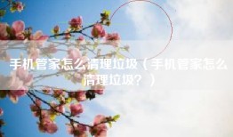 手机管家怎么清理垃圾（手机管家怎么清理垃圾？）