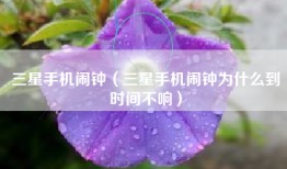 三星手机闹钟（三星手机闹钟为什么到时间不响）
