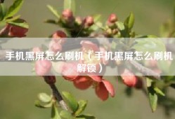 手机黑屏怎么刷机（手机黑屏怎么刷机解锁）