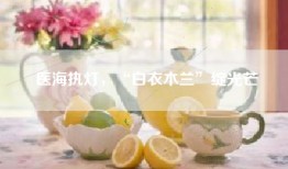 医海执灯，“白衣木兰”绽光芒