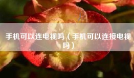 手机可以连电视吗（手机可以连接电视吗）