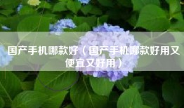 国产手机哪款好（国产手机哪款好用又便宜又好用）