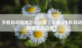 手机自动锁屏怎么设置（苹果13手机自动锁屏怎么设置）