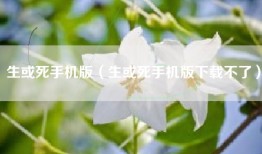 生或死手机版（生或死手机版下载不了）