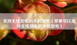 支持无线充电的手机型号（苹果可以支持无线充电的手机型号）