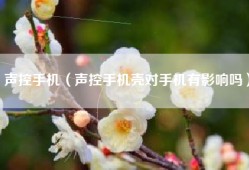 声控手机（声控手机壳对手机有影响吗）