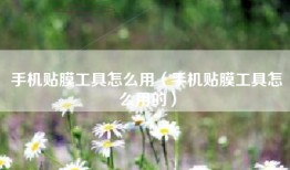 手机贴膜工具怎么用（手机贴膜工具怎么用的）