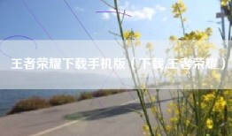 王者荣耀下载手机版（下载,王者荣耀）